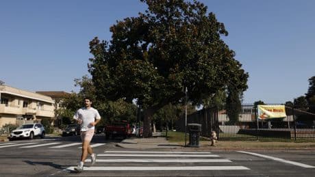 Contributor: It's no wonder Angelenos are painting crosswalks themselves