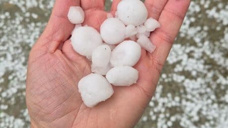 Una fuerte granizada sorprende a los vecinos de varios pueblos de Zaragoza y destroza las cosechas: “Dio bastante miedo”
