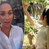 Royal fans spot confusing detail in Meghan Markle's fruit-picking picture