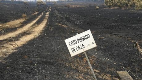 El fuego da una lección de política forestal