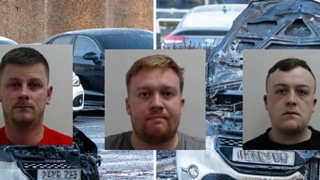 Six thugs caged after 'gangland' attacks left victim with hand 'hanging off' and prison cars torched