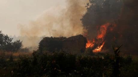 En Espagne, un homme meurt dans un feu de forêt près de Madrid