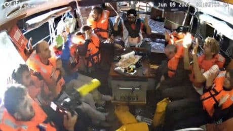 La flottilla di Greta per Gaza partirà anche dall'Italia: il supporto di Barbero e Zerecalcare