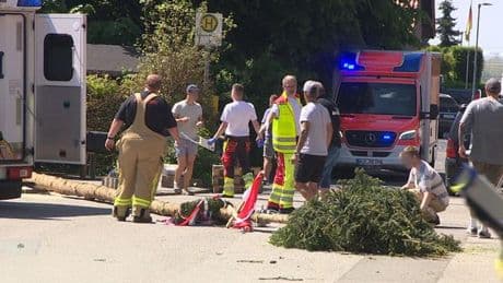 Brauchtum: Maibaum kippt um - mehrere Verletzte