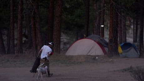 Homeless camp in Oregon national forest to be cleared