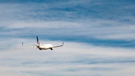 United Airlines plane engine bursts into flames after rabbit hops in