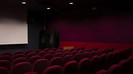 "500 millions de tickets en moins": la fréquentation des cinémas dans le monde a reculé en 2024