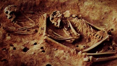 6,000-year-old mystery skeletons could rewrite human history