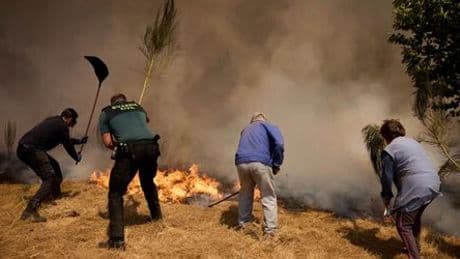 Spanien: Waldbrände zerstören weitere 30.000 Hektar Land