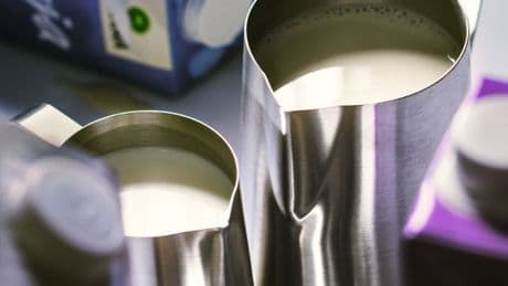 Das Reizwort unter den Milchersatzdrinks