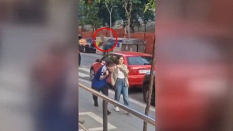 Desvelan el motivo por el que los pájaros atacaron a los vecinos de Linares