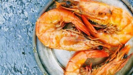Magda Carlas, médico y nutricionista: “La cabeza de las gambas acumula sustancias que nos pueden traer problemas, como metales pesados. Mejor no chuparlo”