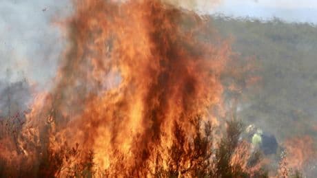 Detenido un hombre como responsable del incendio de Puercas, en Zamora