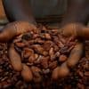 Cacaoboeren in Ivoorkust: Waarom maken we die kostbare chocolade niet gewoon zelf?