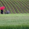 Wetteraussichten: Wettermix am Feiertag - zum Wochenende wärmer
