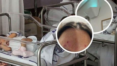 «Los mosquitos nos están acribillando en la zona de pediatría de Txagorritxu»