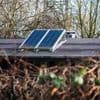 Solar-Verbot für Gartenlauben: Berlin sollte eine Bundesratsinitiative starten, um das Kleingartengesetz zu ändern