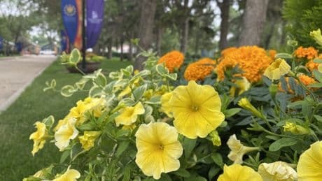 Hidden Treasures: Saskatchewan’s Government House, the Edwardian Gardens