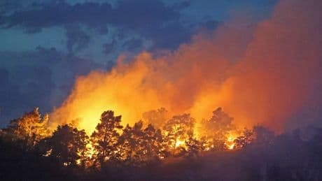 Waldbrände verhindern: Wenn’s funkt, dann funkt’s