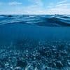 Hidden city built 140,000 years ago discovered at bottom of ocean