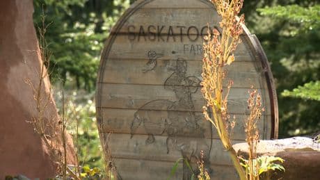 AHS investigates 88 cases of illness that may be related to popular Calgary-area restaurant