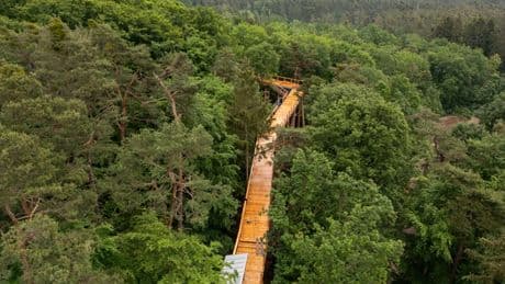 Heilwald und Wipfelweg: Neuigkeiten aus den Kurorten