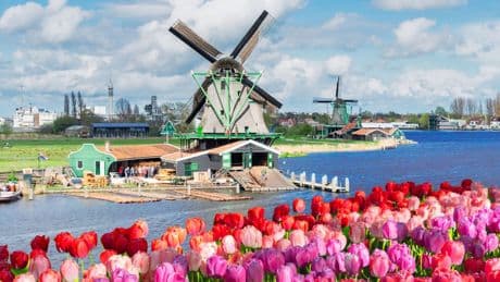 Ausflug ab Bremen: Zaanse Schans – die Niederlande wie aus dem Bilderbuch