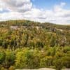 Environnement. L’administration Trump ouvre à l’exploitation des forêts protégées