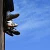 Mode: Sneaker hoch im Kurs - Kein Ende des Booms in Sicht