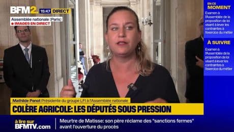 Agriculteurs: "Ils se trompent en pensant que continuer à vivre ce modèle là, ils arriveront à vivre bien", estime Mathilde Panot