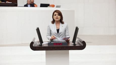 CHP'li Gülcan Kış: Bu yangınlar kader değil, kötü yönetimin sonucudur