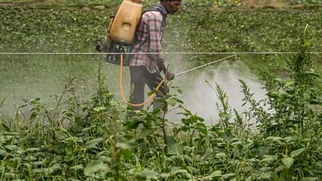 “Je dors à peine quatre heures” : des pesticides à en perdre le sommeil