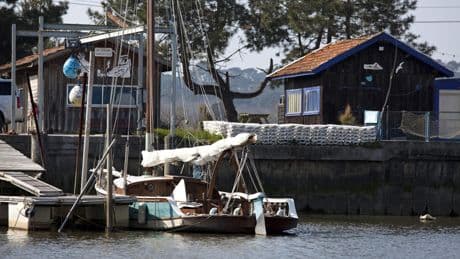 Bassin d’Arcachon : deux cabanes ostréicoles interdites de faire de la dégustation sur place