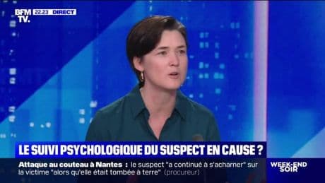 Attaque à Nantes : le récit glaçant du procureur - 25/04