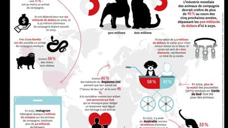 Notre amour pour les bêtes se compte en millions d’animaux et en milliards de dollars