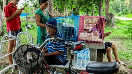 Here’s a look at Surin, the Thai province at the center of the conflict.