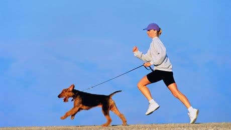 Gemeinsam aktiv: Die besten Tipps fürs Joggen mit Hund