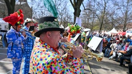 Traditionelles Tulpenfest: Mehr als 20.000 Besucher beim Potsdamer Tulpenfest