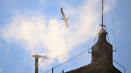 Cardinals elect new Pope as white smoke rises from Vatican