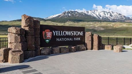 Driver had blood alcohol level twice the legal limit in fatal Yellowstone crash, police say