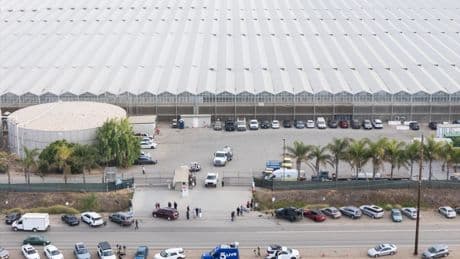 California cannabis firm raided by ICE unveils big labor changes to avoid a repeat