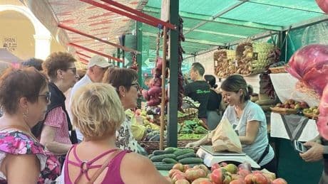 Tomates a 6 euros, quesos a 13... el público abarrota el mercado de San Lorenzo pese al calor