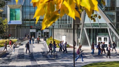 Fewer foreign students and workers entered Canada in first half of 2025, Ottawa says