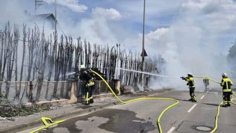 50 Meter Hecke weg - Nachbarn wollen im Garten grillen