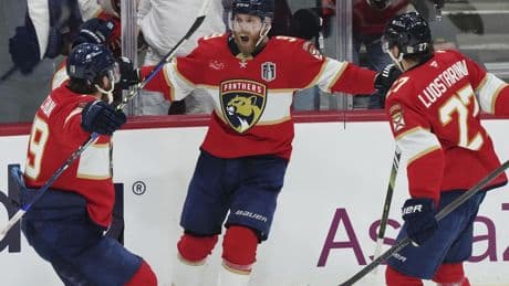Healthier Panthers near full strength in Stanley Cup Final against Oilers