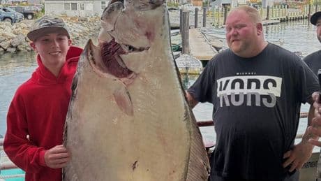 New Hampshire boy, 13, reels in 177-pound halibut while deep-sea fishing that may be a world record
