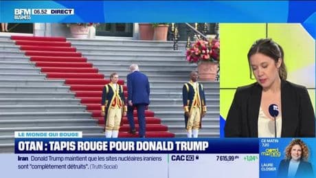 Caroline Loyer : OTAN, tapis rouge pour Donald Trump - 25/06