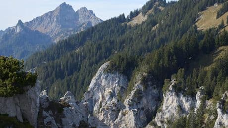 Mutter stürzt vor den Augen ihres Sohnes in den Tod