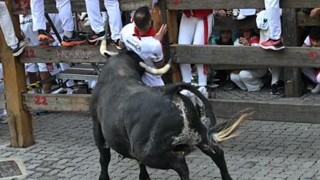 San Fermín 2025: los toros de Álvaro Núñez protagonizan el tercer encierro en Pamplona