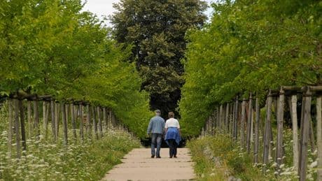 Wandern in Berlin: Hauptstadt auf Platz 3 in deutschlandweitem Ranking
